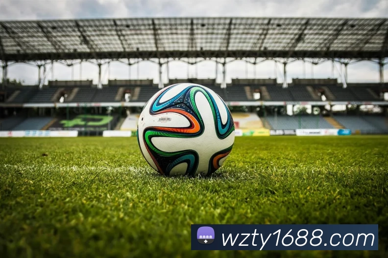 王者体育官网发展历程